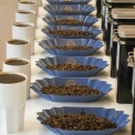 Kaffeeverkostung - coffee cupping